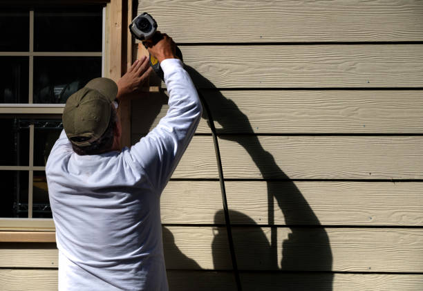 Best Brick Veneer Siding  in Embreeville, TN