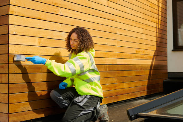 Best Siding Painting and Refinishing  in Embreeville, TN
