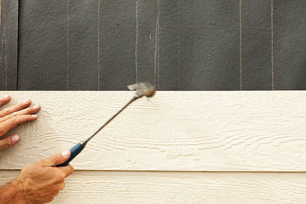Affordable Siding Repair and Maintenance Services in Embreeville, TN